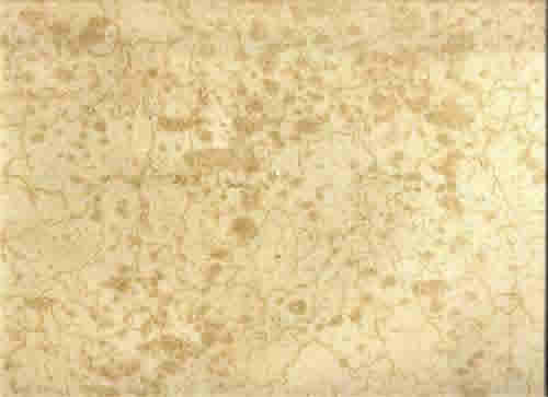 faux finishing painting murals hand painted decorative finishes