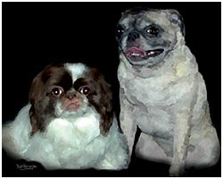 cooolart pet portraits on canvas