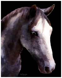 cooolart pet portraits on canvas
