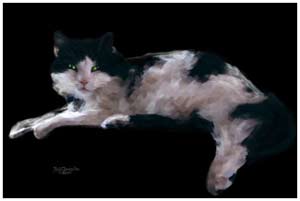 cooolart pet portraits on canvas