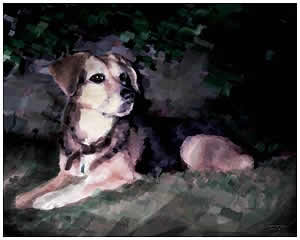 cooolart pet portraits on canvas