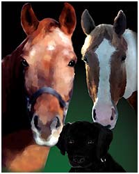 cooolart pet portraits on canvas