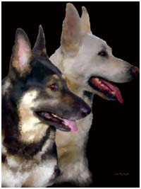 cooolart pet portraits on canvas