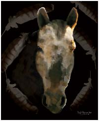 cooolart pet portraits on canvas